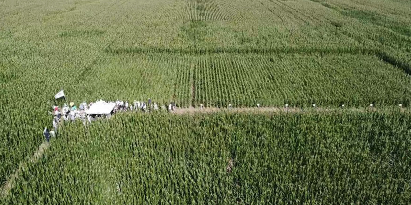 cogollero nota aapresid