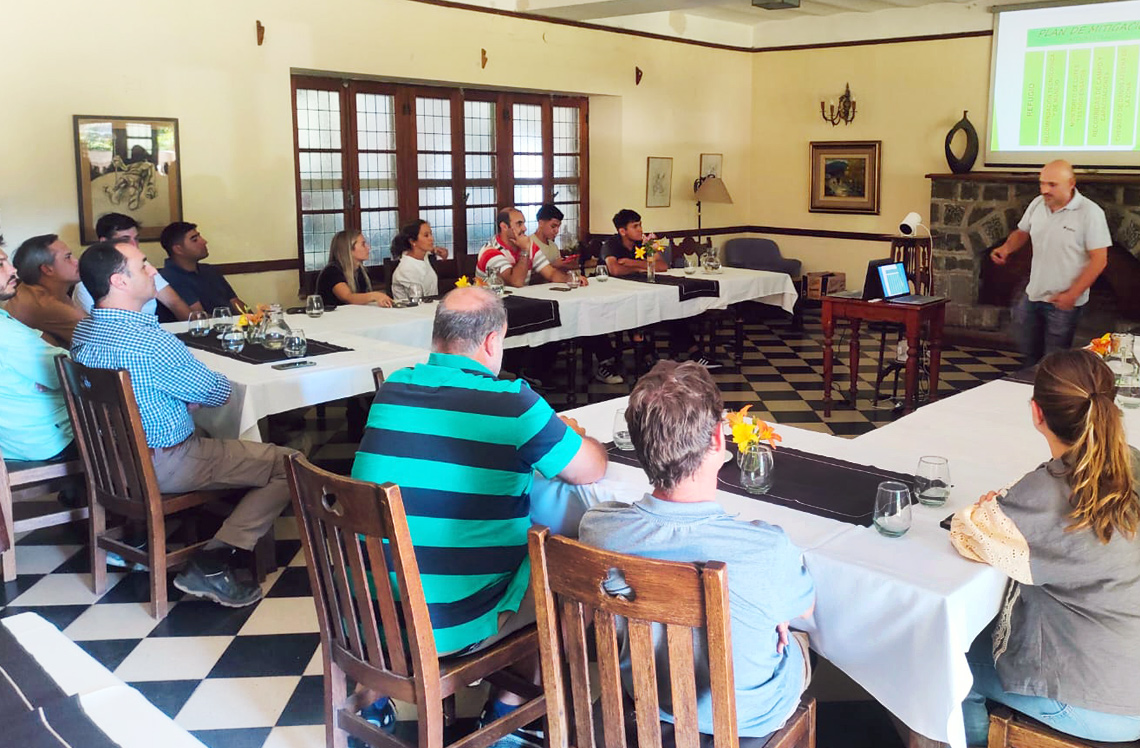 Actualidad PDM2 interna