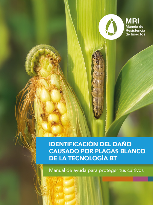 MRI tapa Manual danio